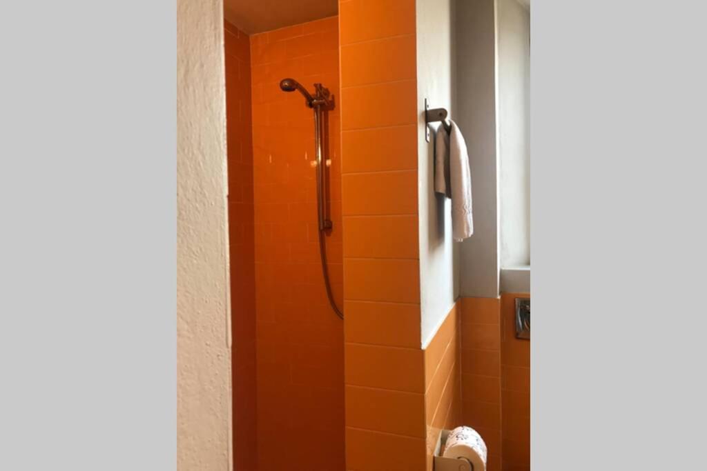 Sunny Top Floor In San Frediano Флоренция Екстериор снимка